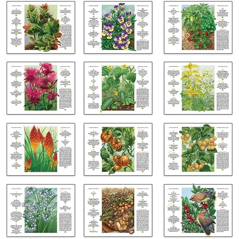 Old Farmers Almanac Gardening 2021 Calendar Monthly Scenes