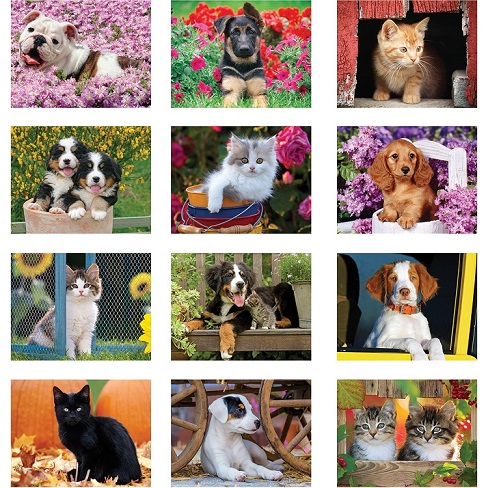 Puppies and Kittens 2021 Calendar Monthly Scenes